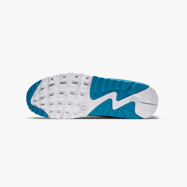 КРОССОВКИ NIKE AIR MAX 90 (CT0693-001)