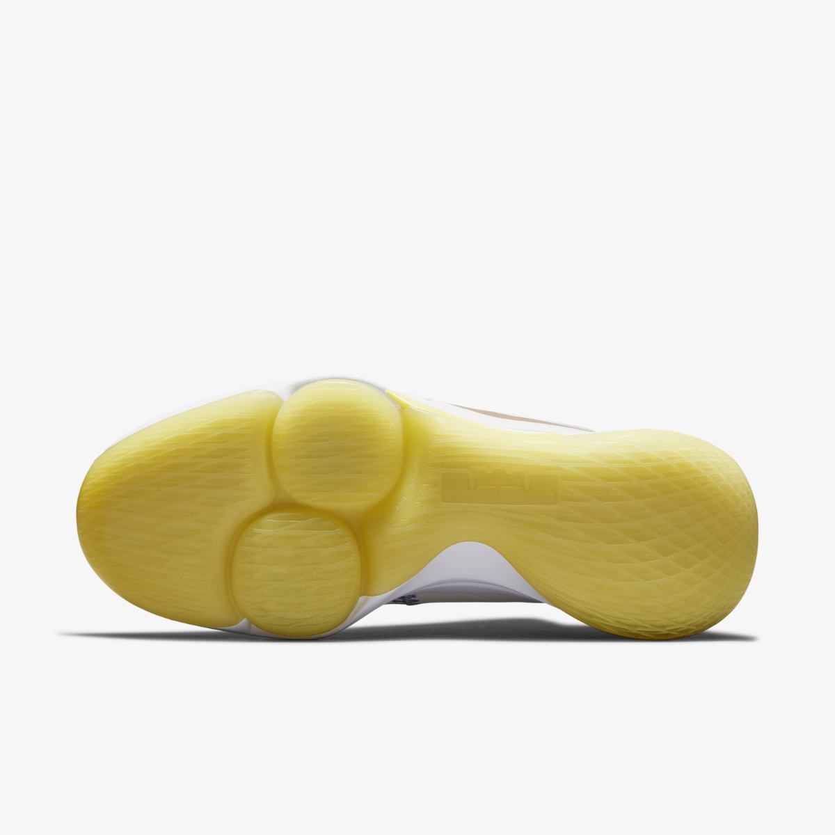 КРОССОВКИ NIKE LEBRON WITNESS V (CQ9380-102)