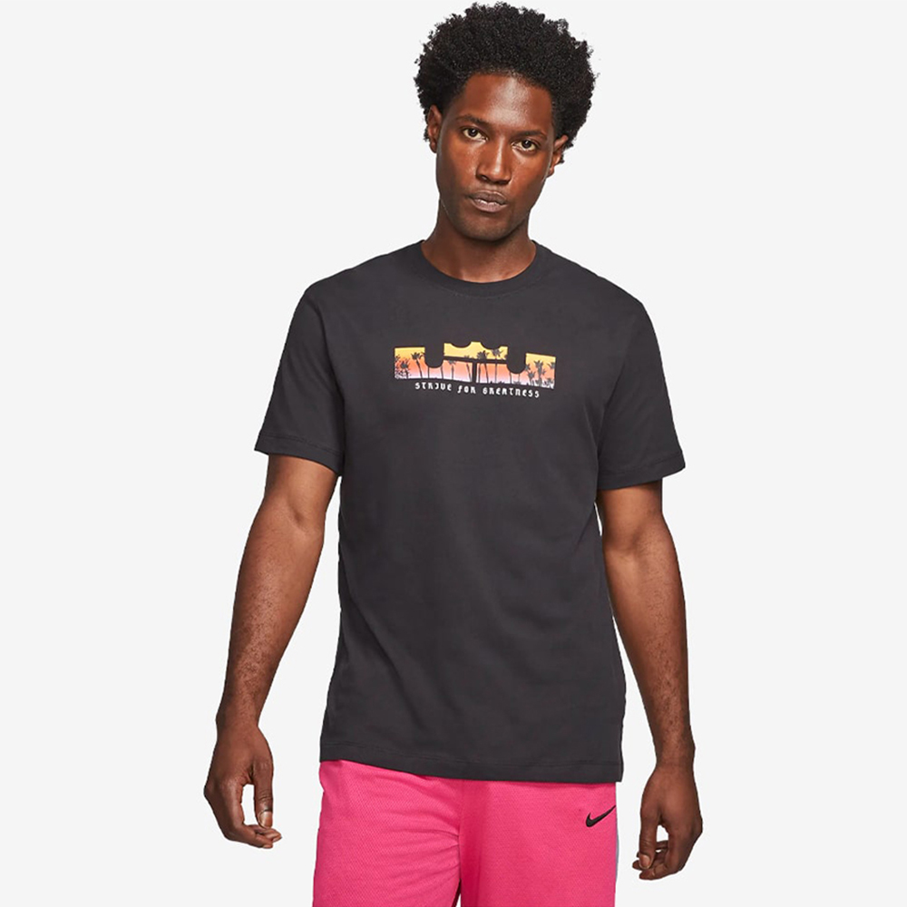 ФУТБОЛКА NIKE LBJ M NK DRY LOGO SS TEE (DB6178-010)