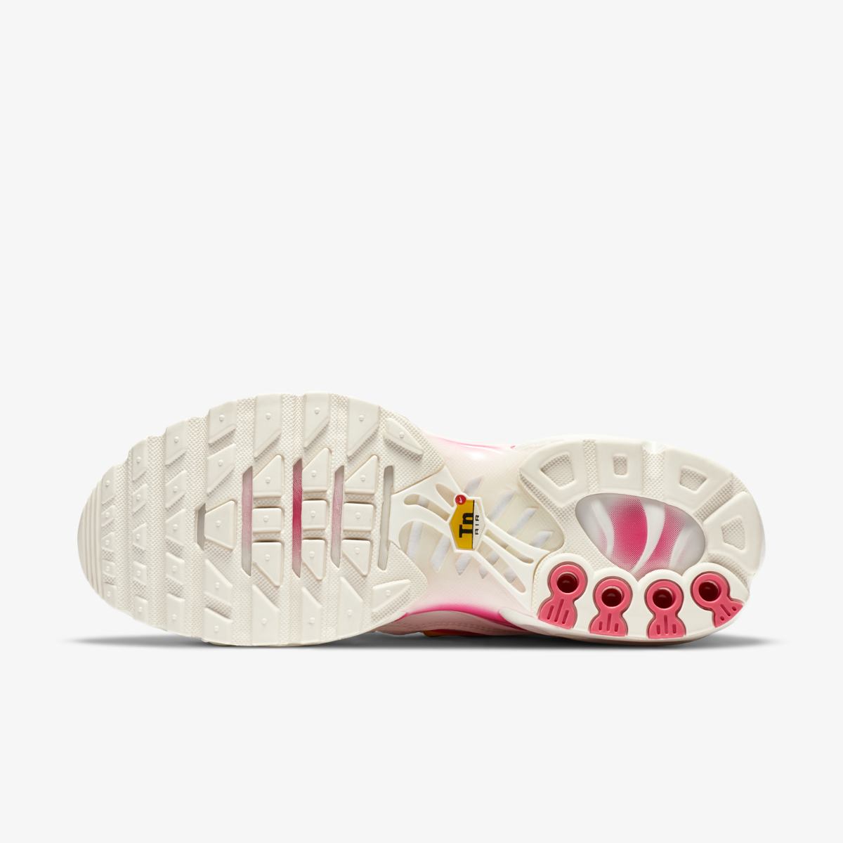 КРОСІВКИ NIKE WMNS AIR MAX PLUS (CZ0373-100)