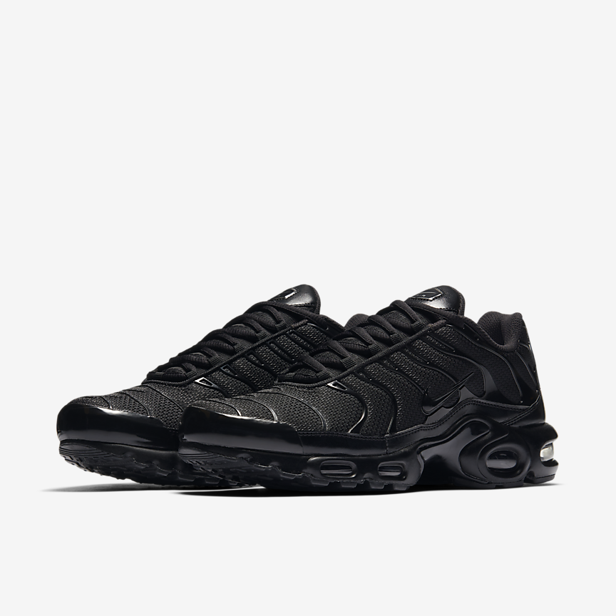 КРОСІВКИ NIKE AIR MAX PLUS (604133-050)