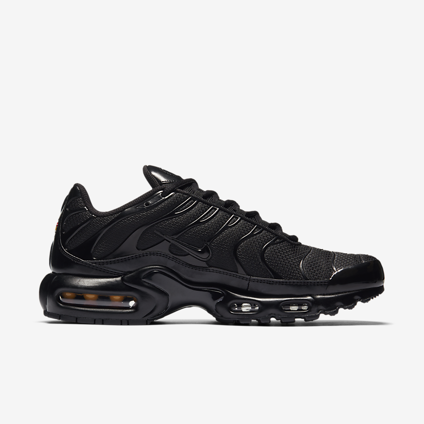 КРОСІВКИ NIKE AIR MAX PLUS (604133-050)