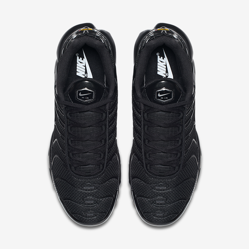 КРОСІВКИ NIKE AIR MAX PLUS (604133-050)