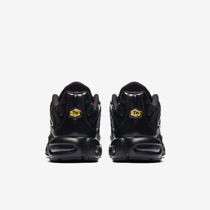 КРОСІВКИ NIKE AIR MAX PLUS (604133-050)