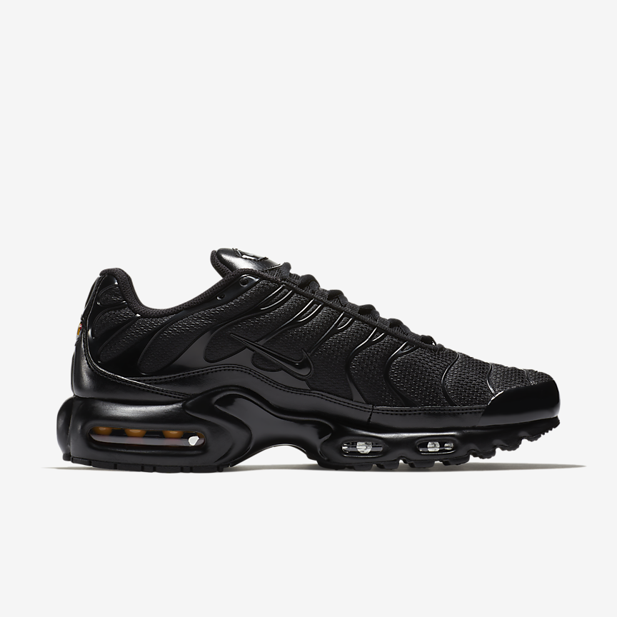КРОСІВКИ NIKE AIR MAX PLUS (604133-050)