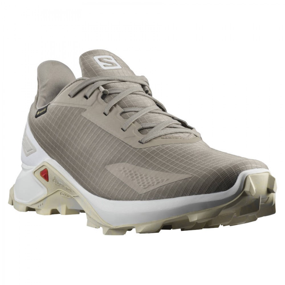 КРОСІВКИ SALOMON ALPHACROSS BLAST GTX (412847)