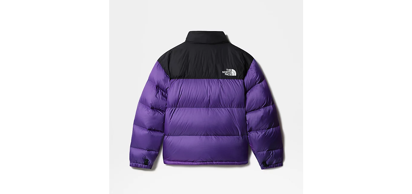 КУРТКА THE NORTH FACE MEN’S 1996 RETRO NUPTSE JACKET (NFOA3C8DNL4)