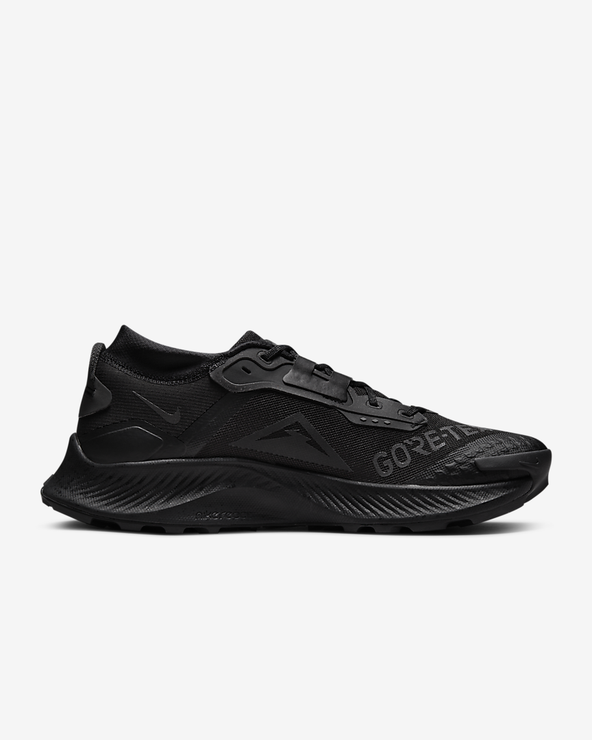 КРОССОВКИ NIKE PEGASUS TRAIL 3 GTX (DC8793-001)
