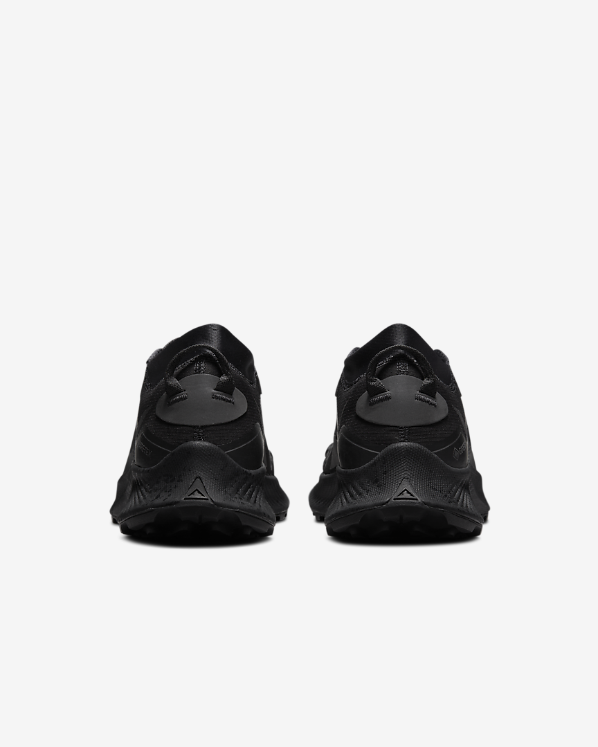 КРОССОВКИ NIKE PEGASUS TRAIL 3 GTX (DC8793-001)