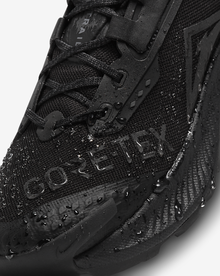 КРОССОВКИ NIKE PEGASUS TRAIL 3 GTX (DC8793-001)