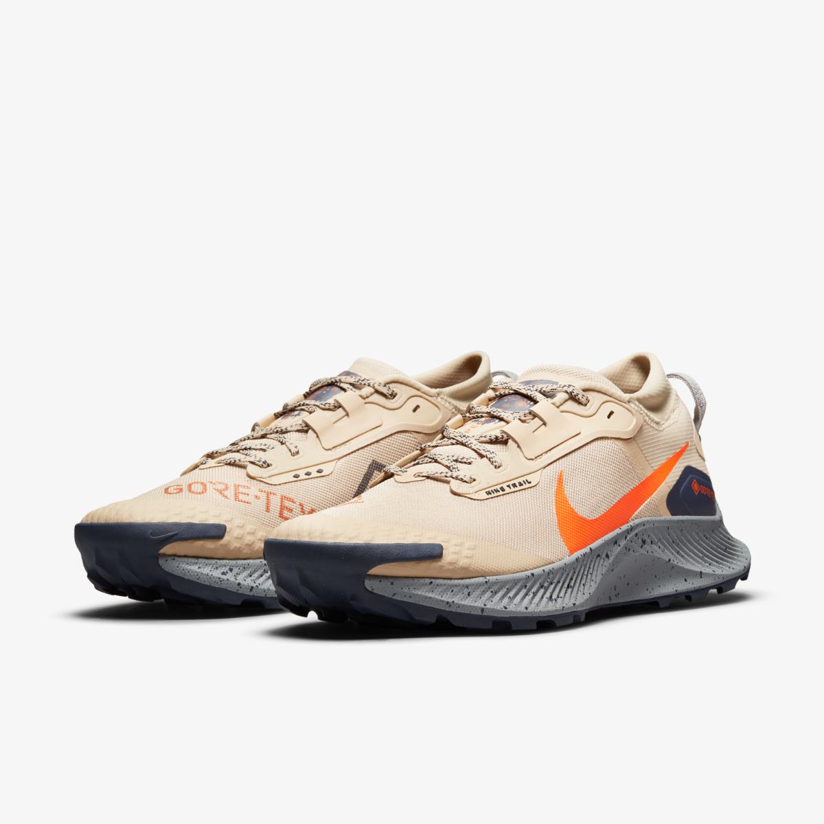 КРОСІВКИ NIKE PEGASUS TRAIL 3 GTX (DC8793-200)