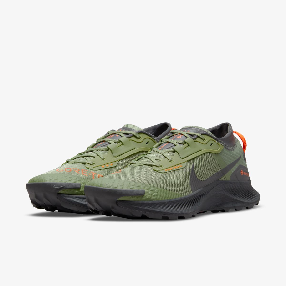 КРОСІВКИ NIKE PEGASUS TRAIL 3 GTX (DO6728-300)