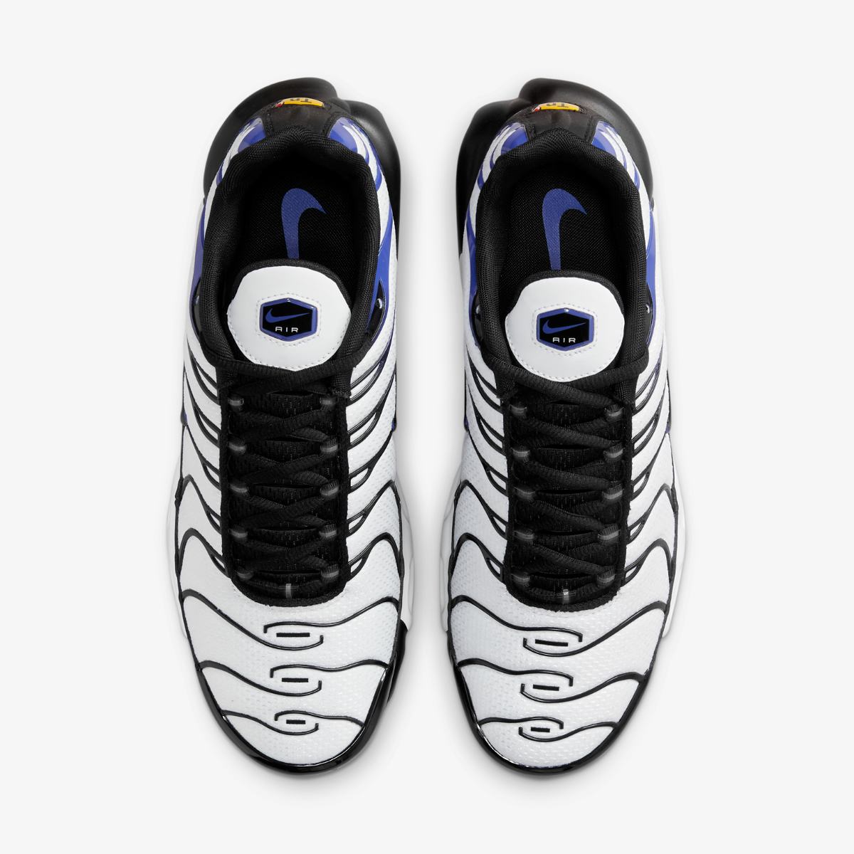 КРОСІВКИ NIKE AIR MAX PLUS (DB0682-100)