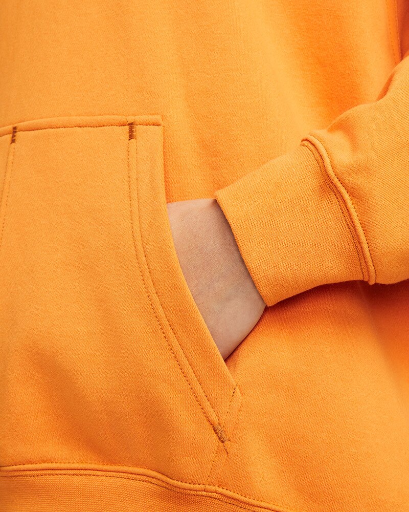 SWEATSHIRT NIKE W NSW SWSH FLC HOODIE (DM6201-738)