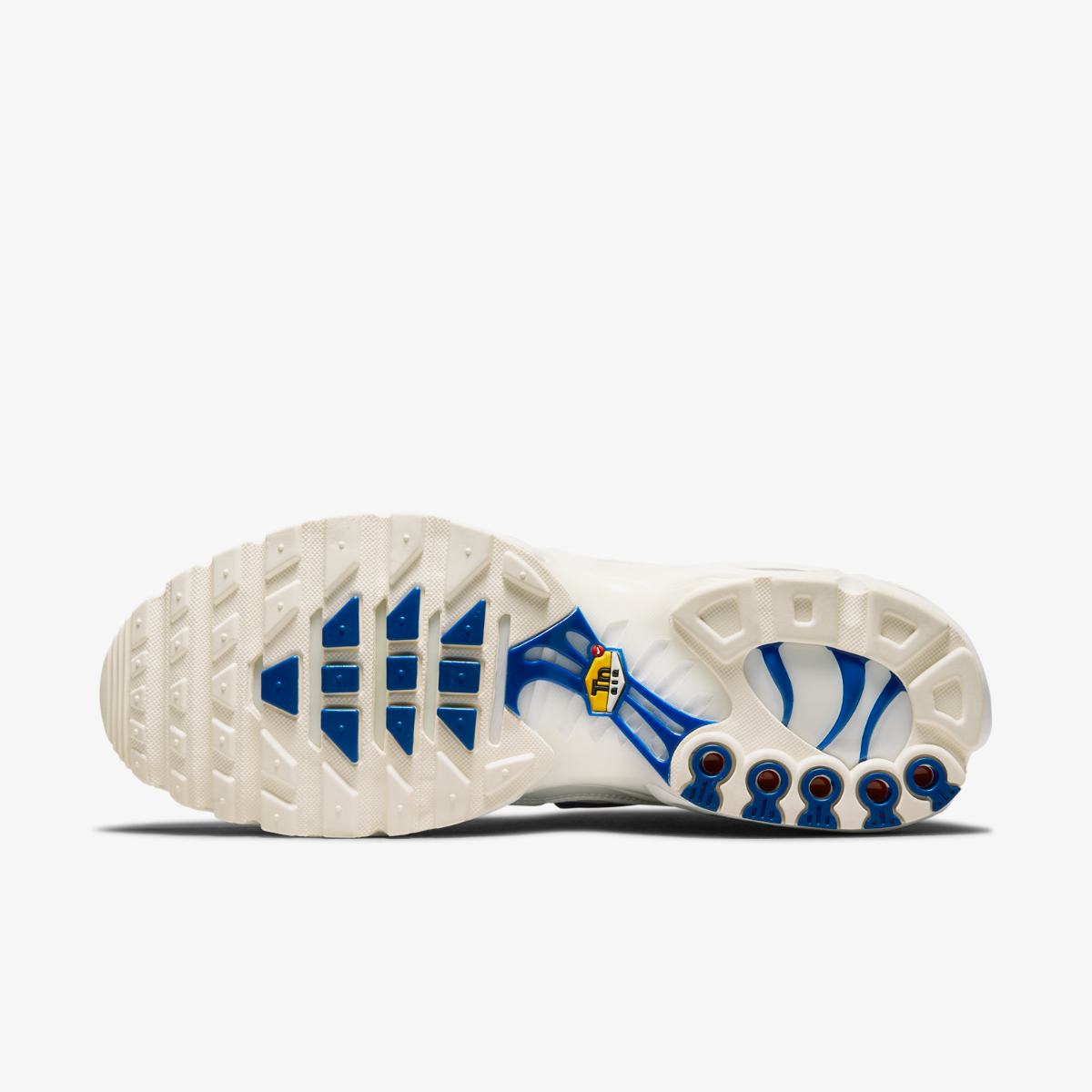 КРОСІВКИ NIKE AIR MAX PLUS (DN6994-100)