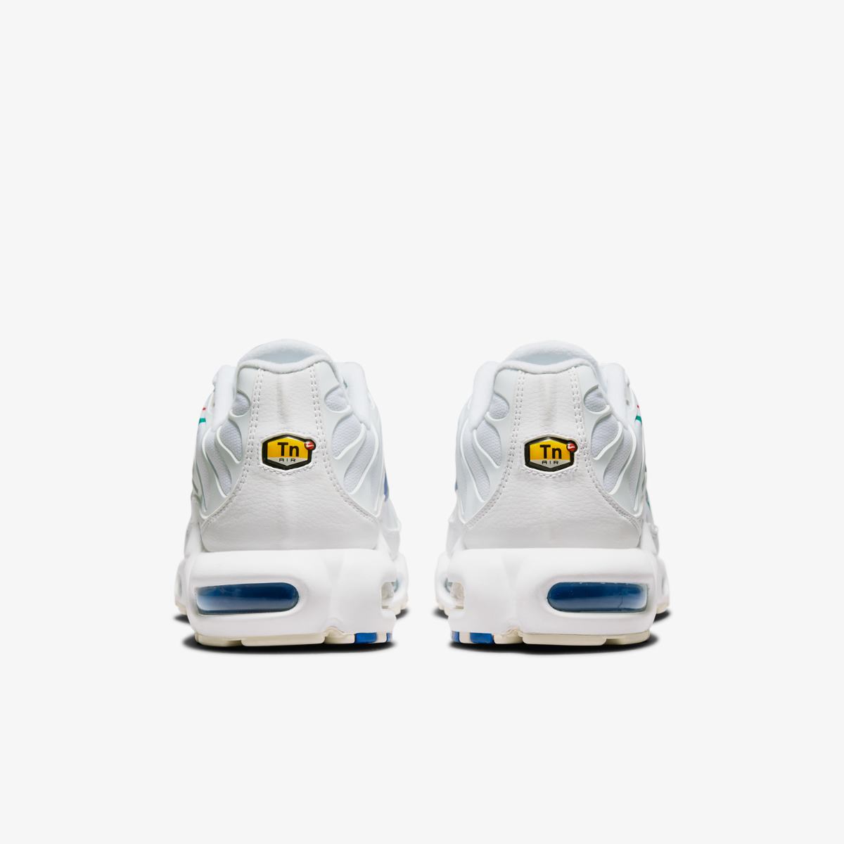 КРОСІВКИ NIKE AIR MAX PLUS (DN6994-100)