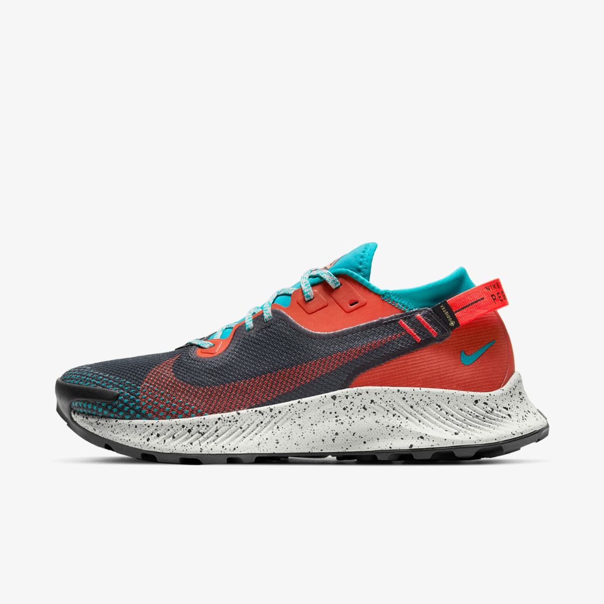 КРОСІВКИ NIKE PEGASUS TRAIL 2 GTX (DH0202-001)