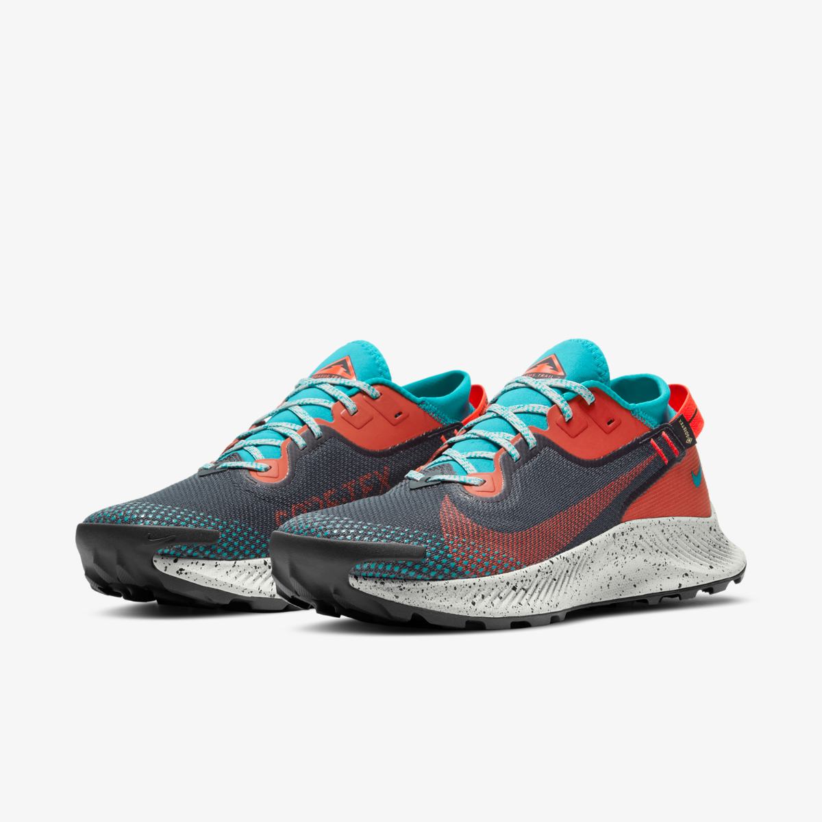 КРОСІВКИ NIKE PEGASUS TRAIL 2 GTX (DH0202-001)