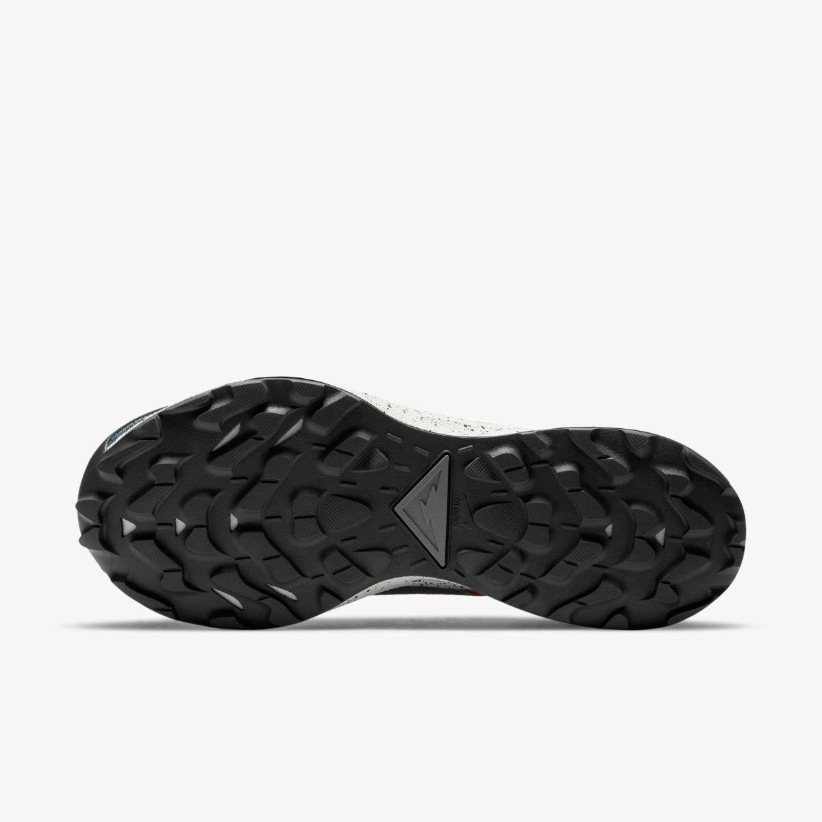 КРОССОВКИ NIKE PEGASUS TRAIL 2 GTX (DH0202-001)