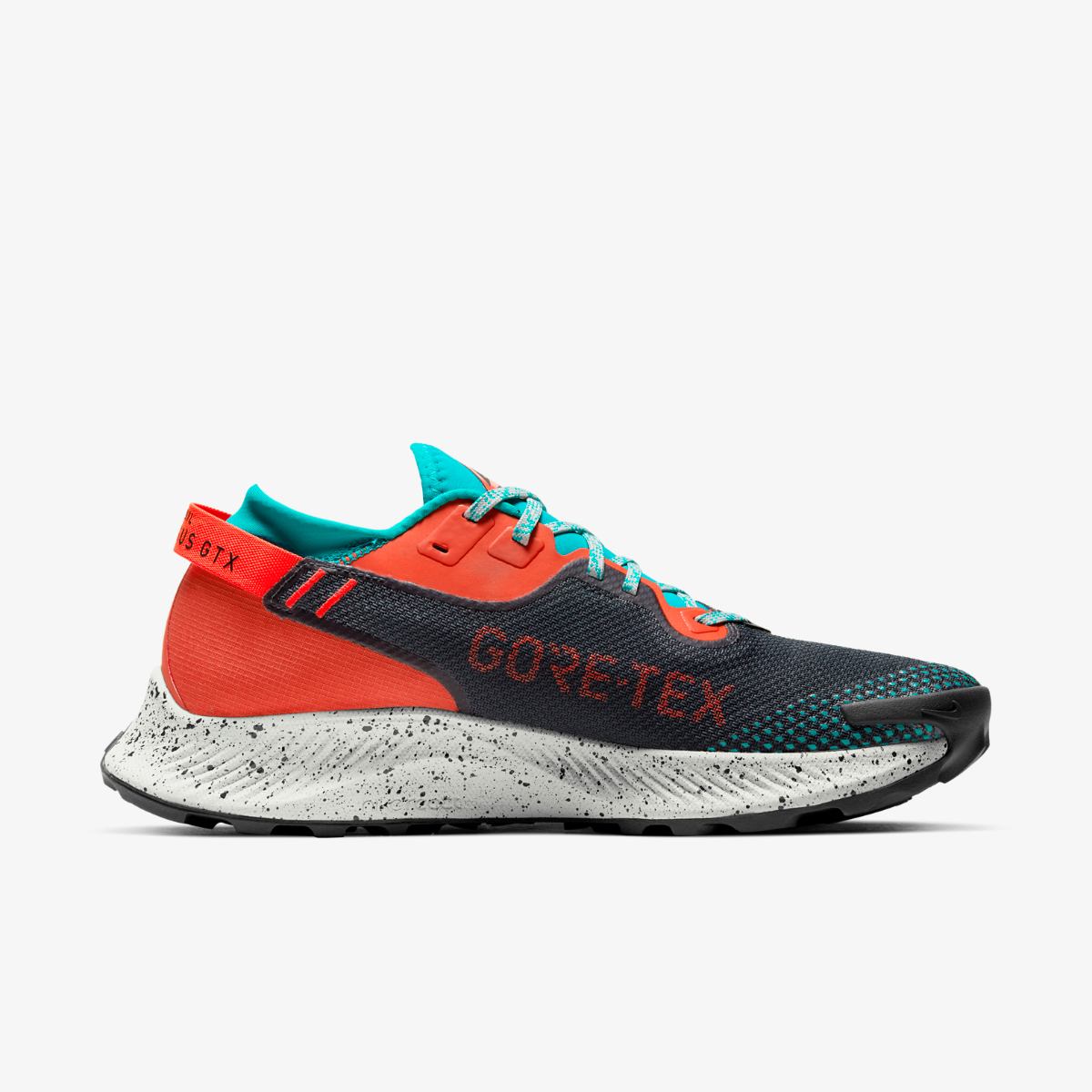 КРОССОВКИ NIKE PEGASUS TRAIL 2 GTX (DH0202-001)