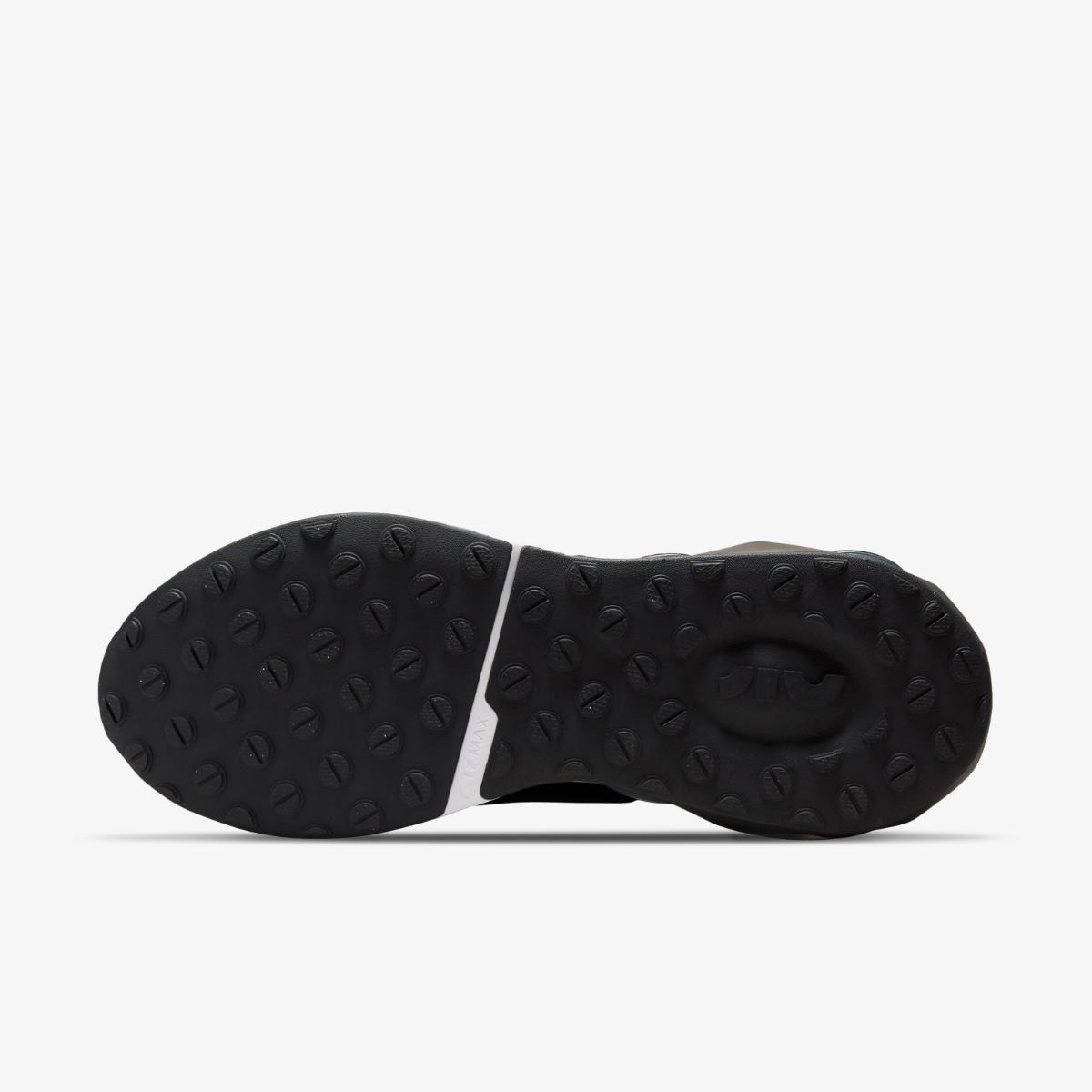 КРОСІВКИ NIKE AIR MAX 2021 (DA1925-001)