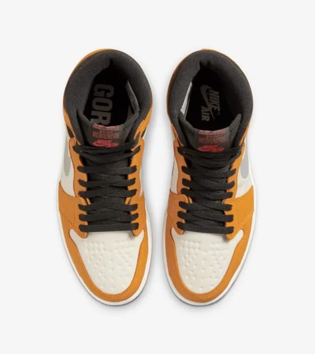 КРОСІВКИ AIR JORDAN 1 ELEMENT GTX (DB2889-700)