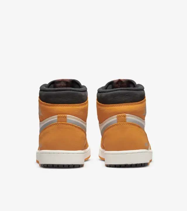 КРОСІВКИ AIR JORDAN 1 ELEMENT GTX (DB2889-700)