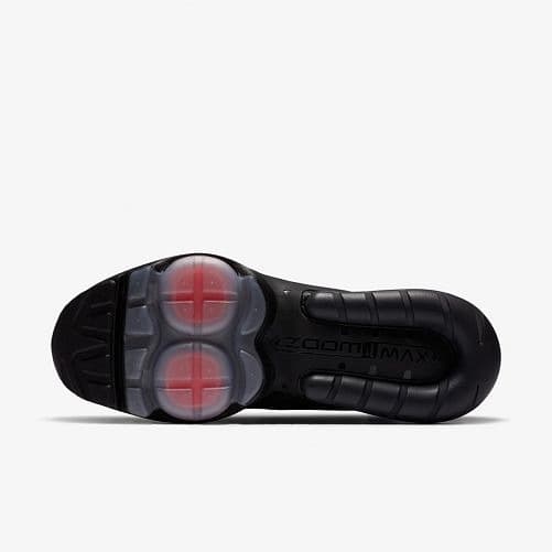 КРОСІВКИ NIKE AIR MAX ZM950 (CJ6700-001)