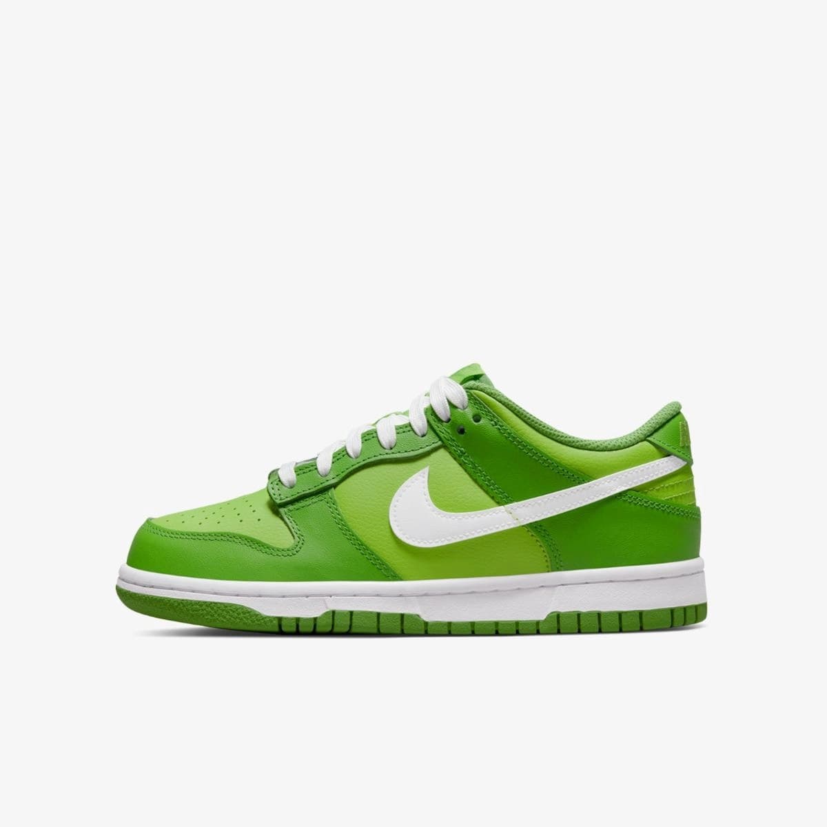 КРОСІВКИ NIKE DUNK LOW (GS) (DH9765-301)