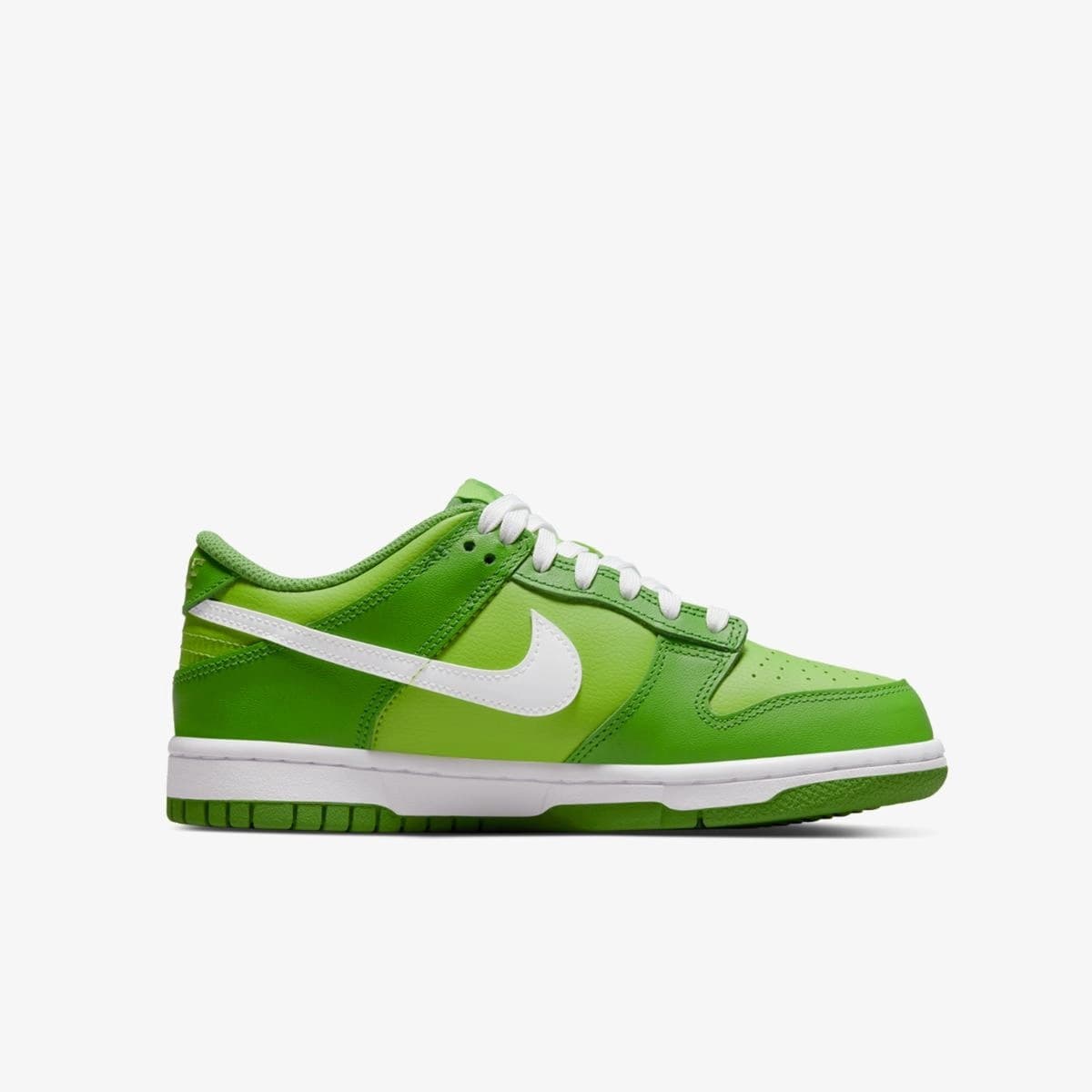 NIKE DUNK LOW (GS) SNEAKERS (DH9765-301)