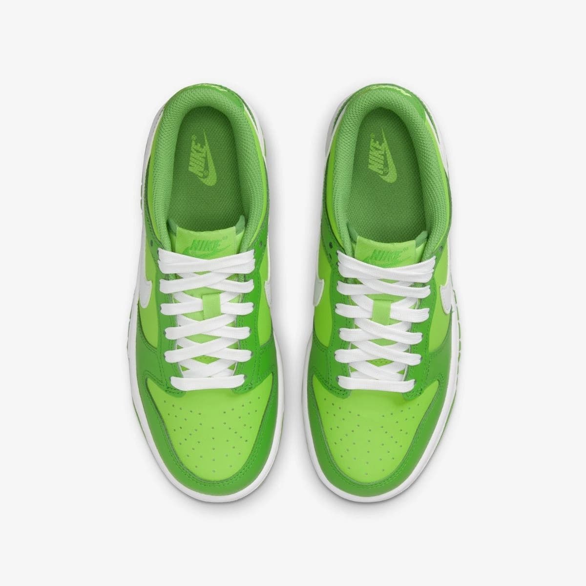 NIKE DUNK LOW (GS) SNEAKERS (DH9765-301)