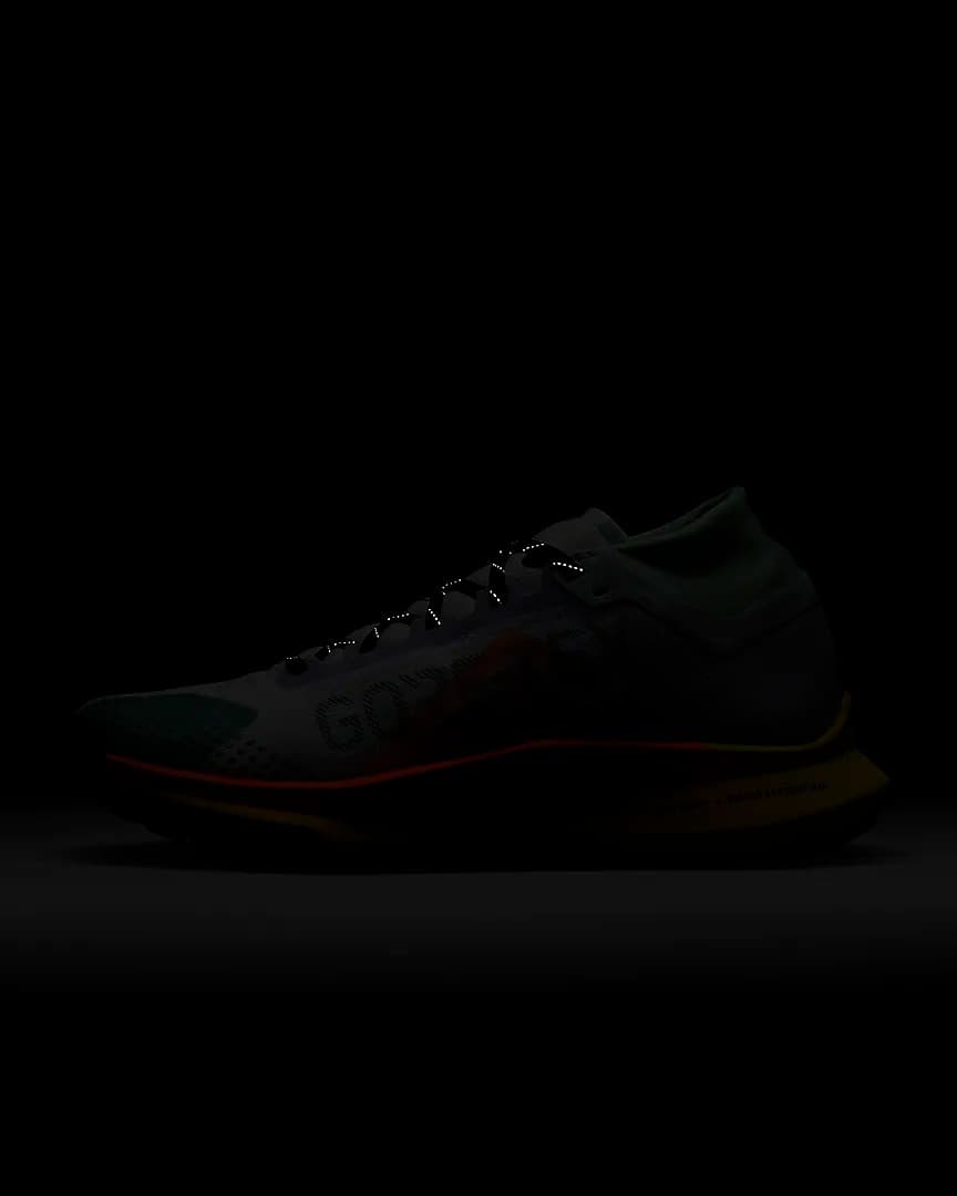 КРОСІВКИ NIKE REACT PEGASUS TRAIL 4 GTX (DJ7926-500)
