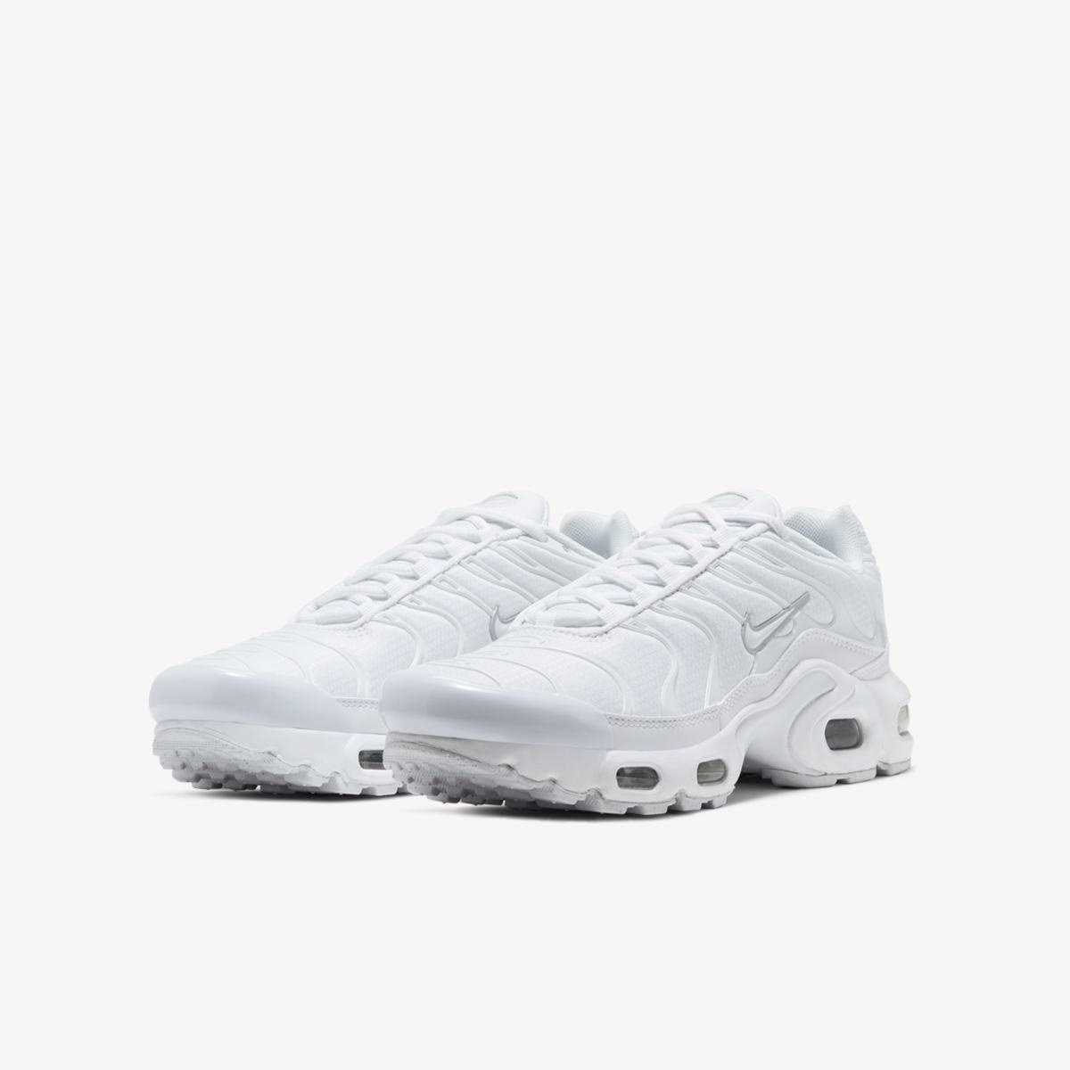 КРОСІВКИ NIKE AIR MAX PLUS (GS) (CW7044-100)