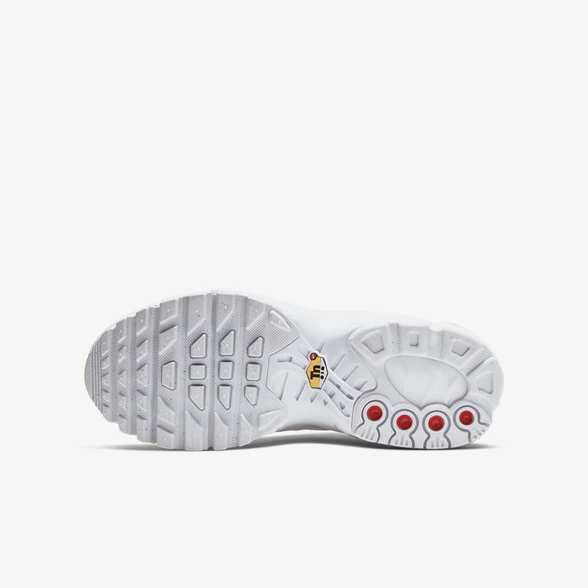 КРОСІВКИ NIKE AIR MAX PLUS (GS) (CW7044-100)