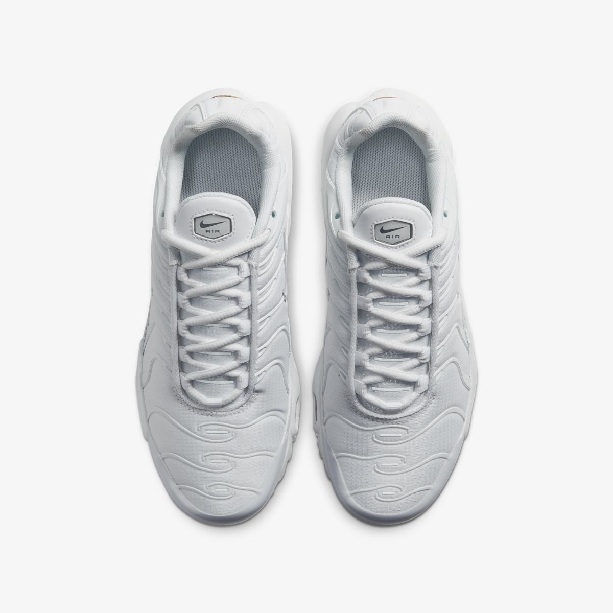 КРОСІВКИ NIKE AIR MAX PLUS (GS) (CW7044-100)