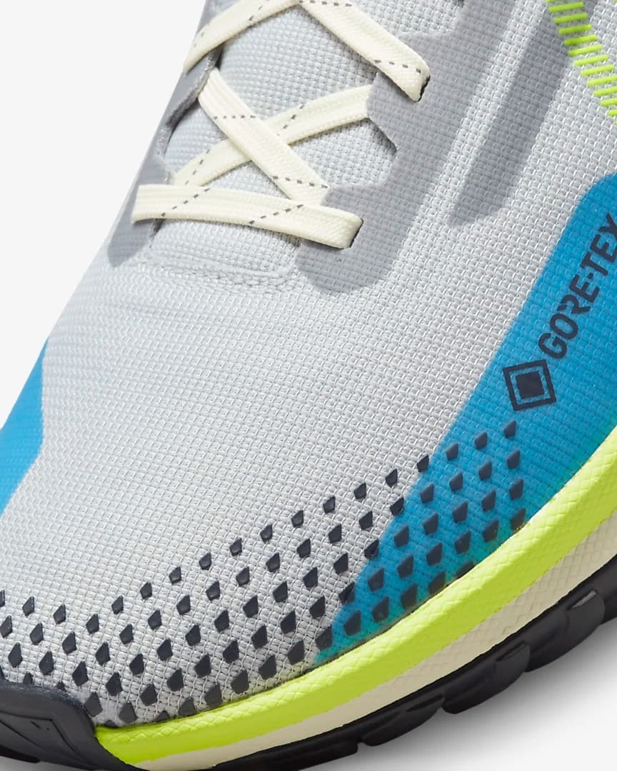 КРОСІВКИ NIKE REACT PEGASUS TRAIL 4 GTX (DJ7926-002)