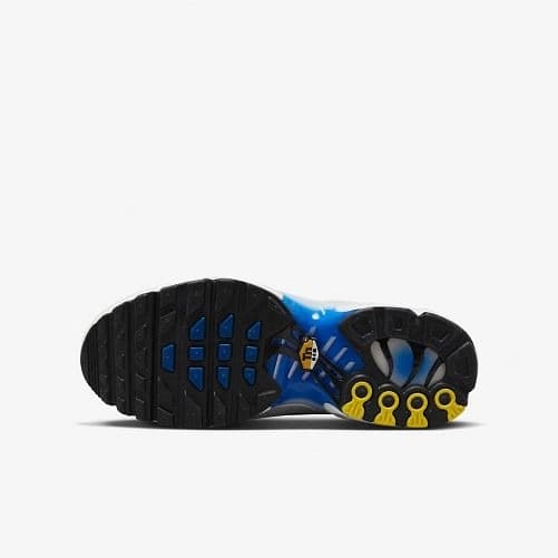 КРОСІВКИ NIKE AIR MAX PLUS (GS) (CD0609-019)