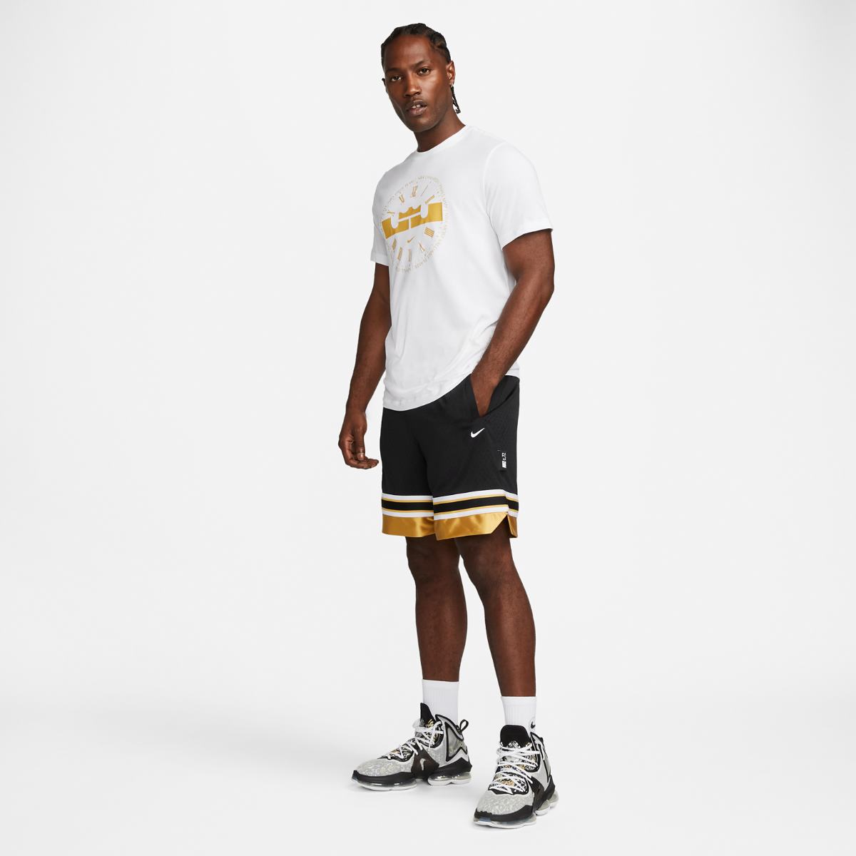 ФУТБОЛКА NIKE LBJ M NK DF TEE (DZ2702-100)