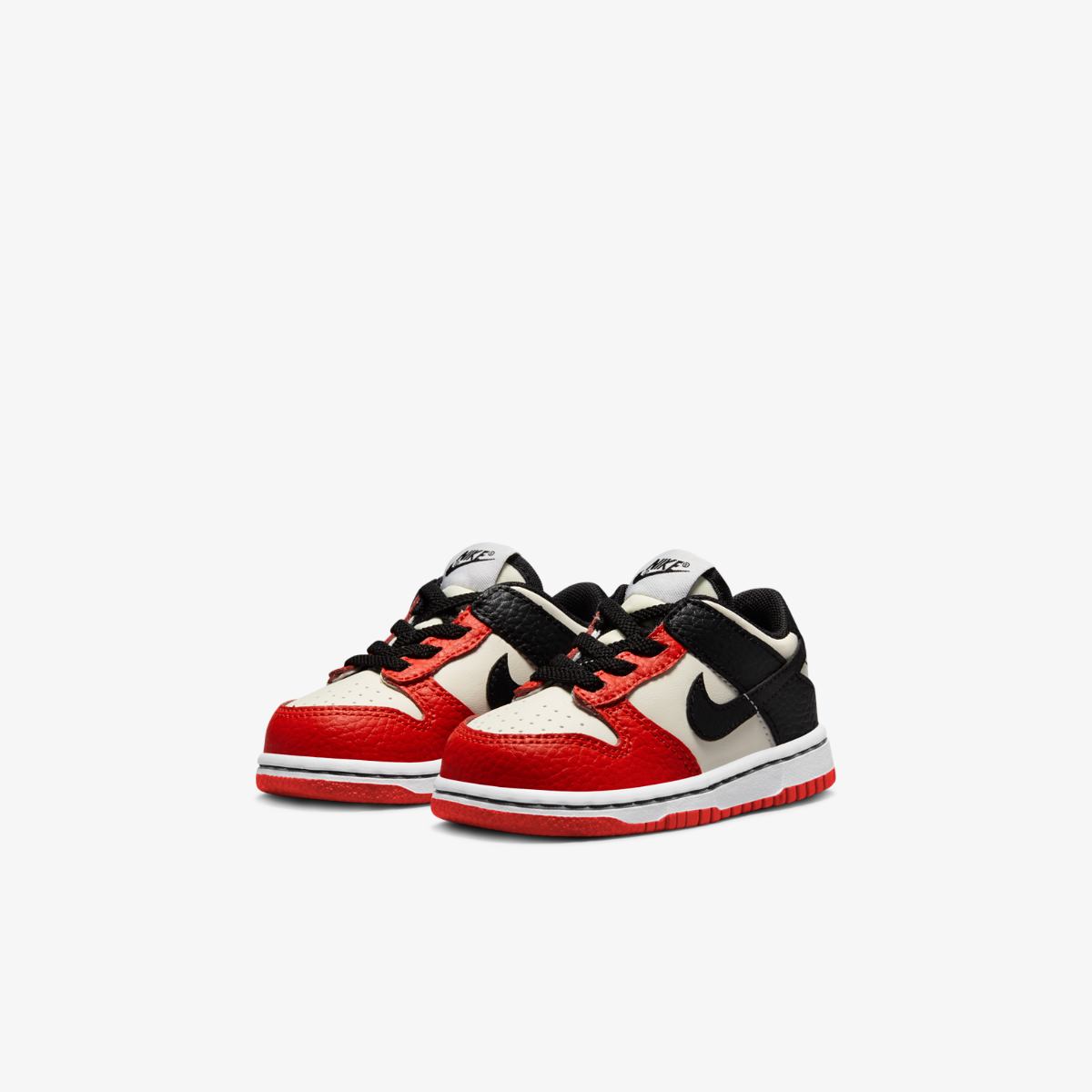КРОСІВКИ NIKE DUNK LOW (TDE) (DC9562-100)