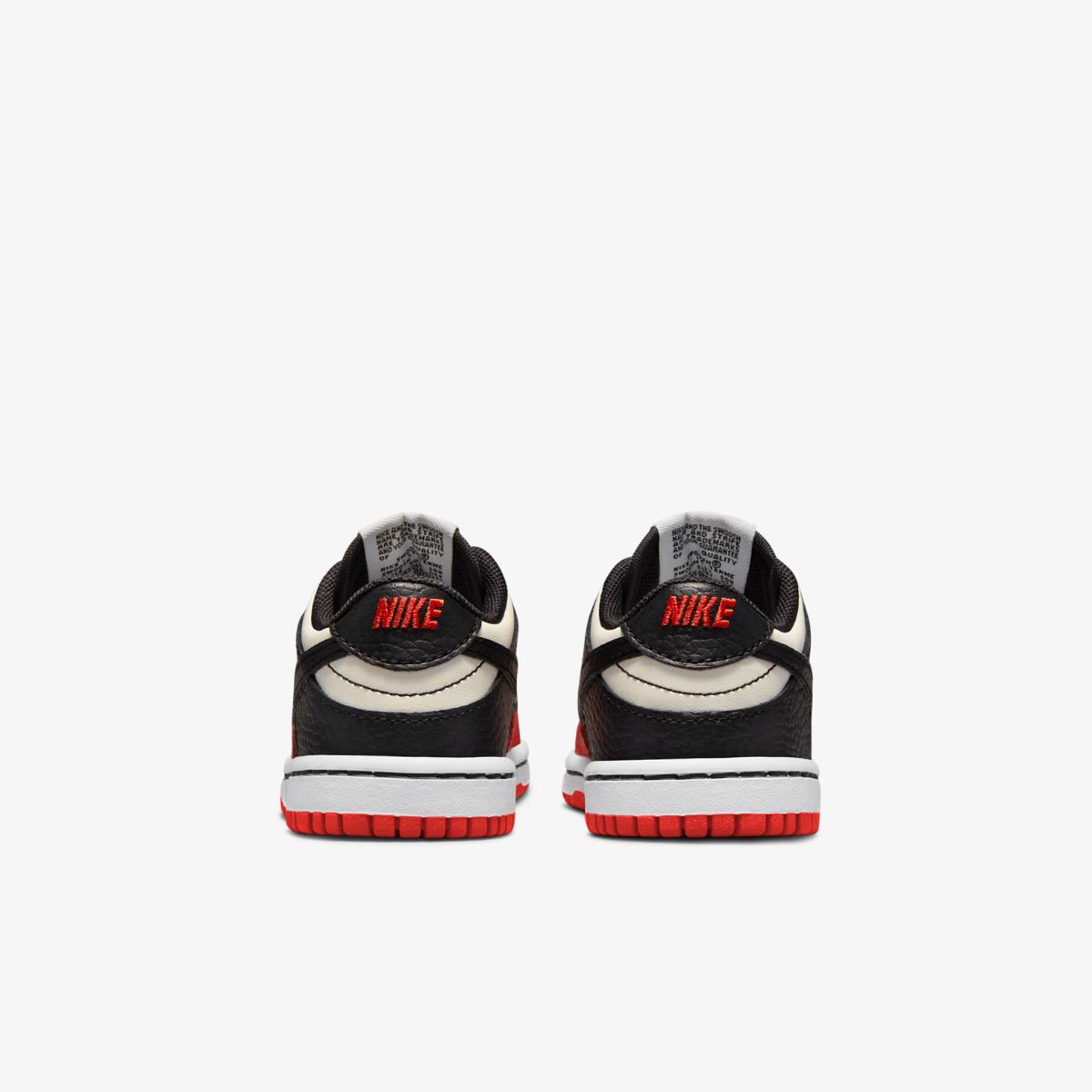 КРОСІВКИ NIKE DUNK LOW (TDE) (DC9562-100)