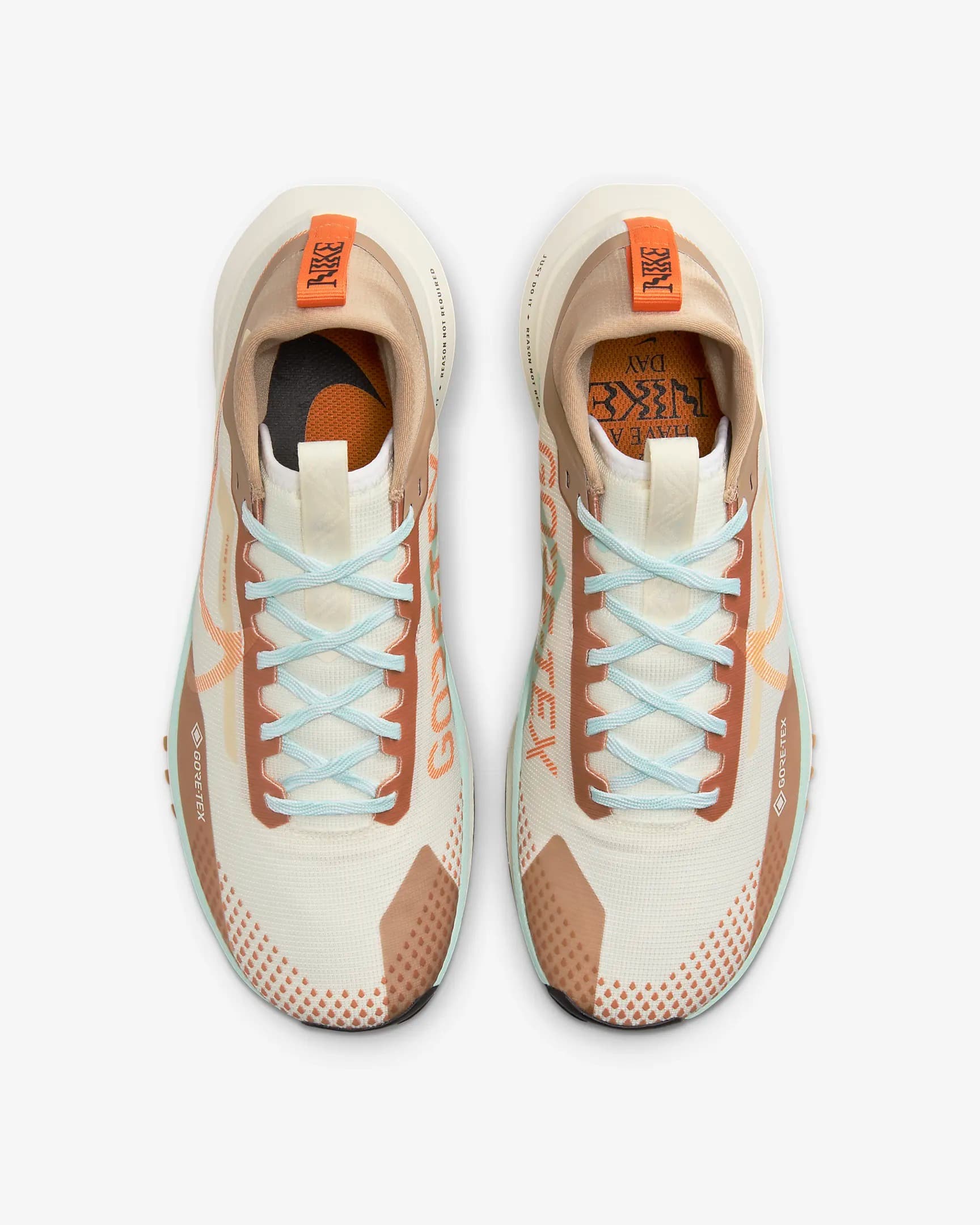 КРОССОВКИ NIKE PEGASUS TRAIL 4 GTX (FN8886-181)