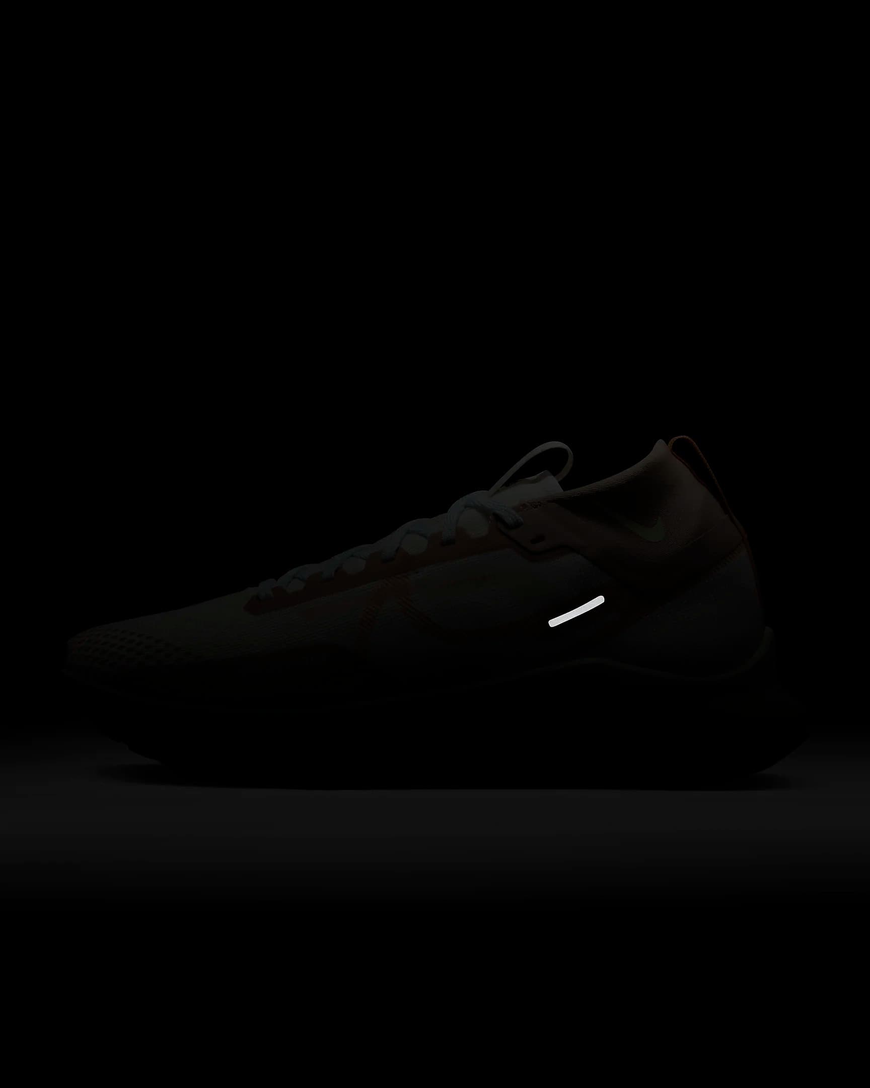 КРОССОВКИ NIKE PEGASUS TRAIL 4 GTX (FN8886-181)