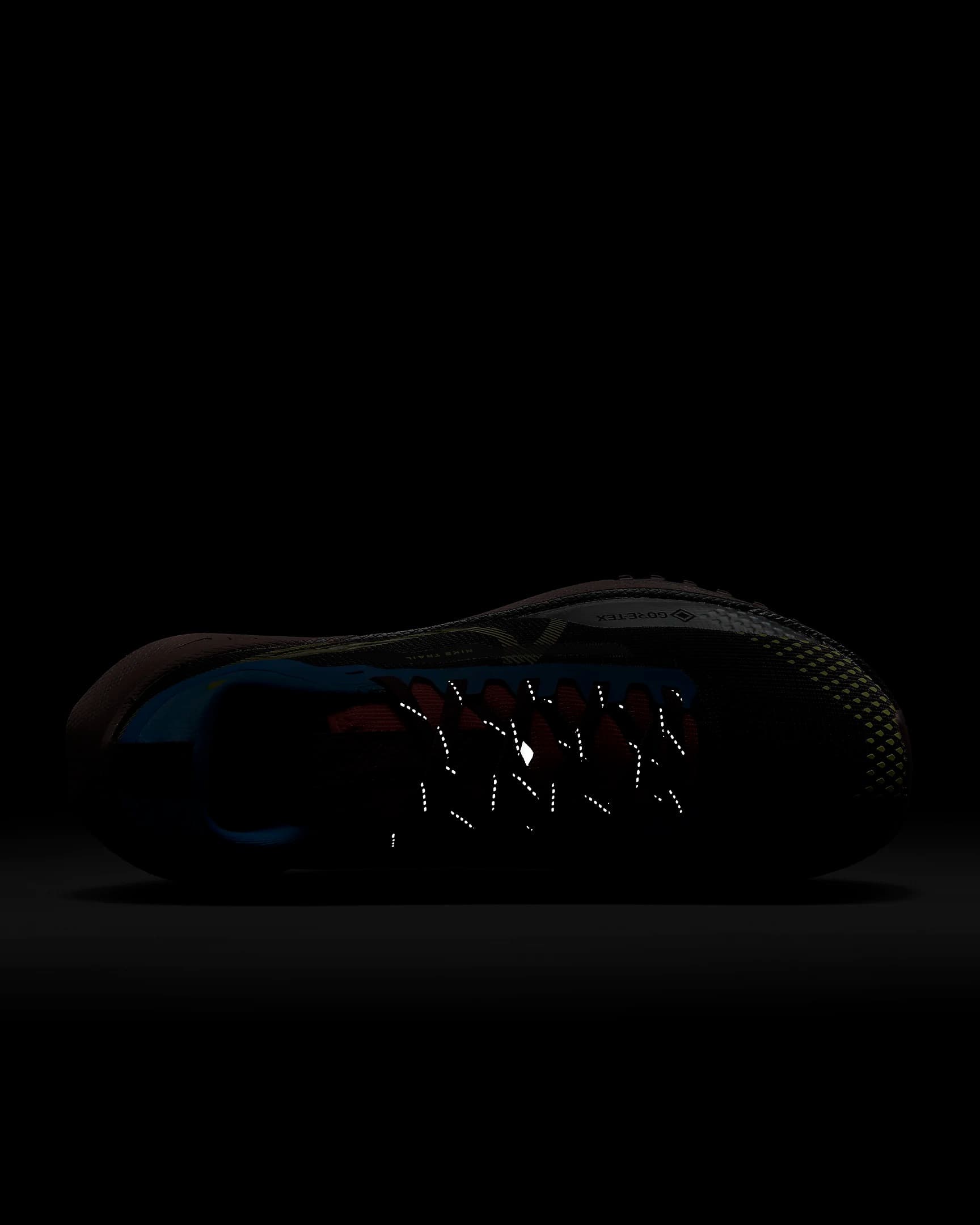 КРОСІВКИ NIKE W REACT PEGASUS TRAIL 4 GTX (DJ7929-003)