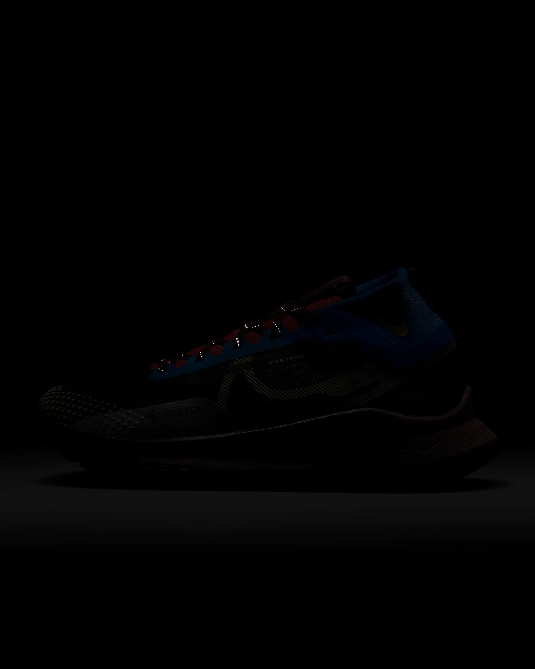 КРОСІВКИ NIKE W REACT PEGASUS TRAIL 4 GTX (DJ7929-003)