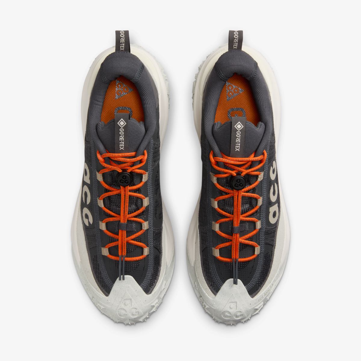 КРОСІВКИ NIKE ACG MOUNTAIN FLY 2 LOW GTX (HF6245-002)