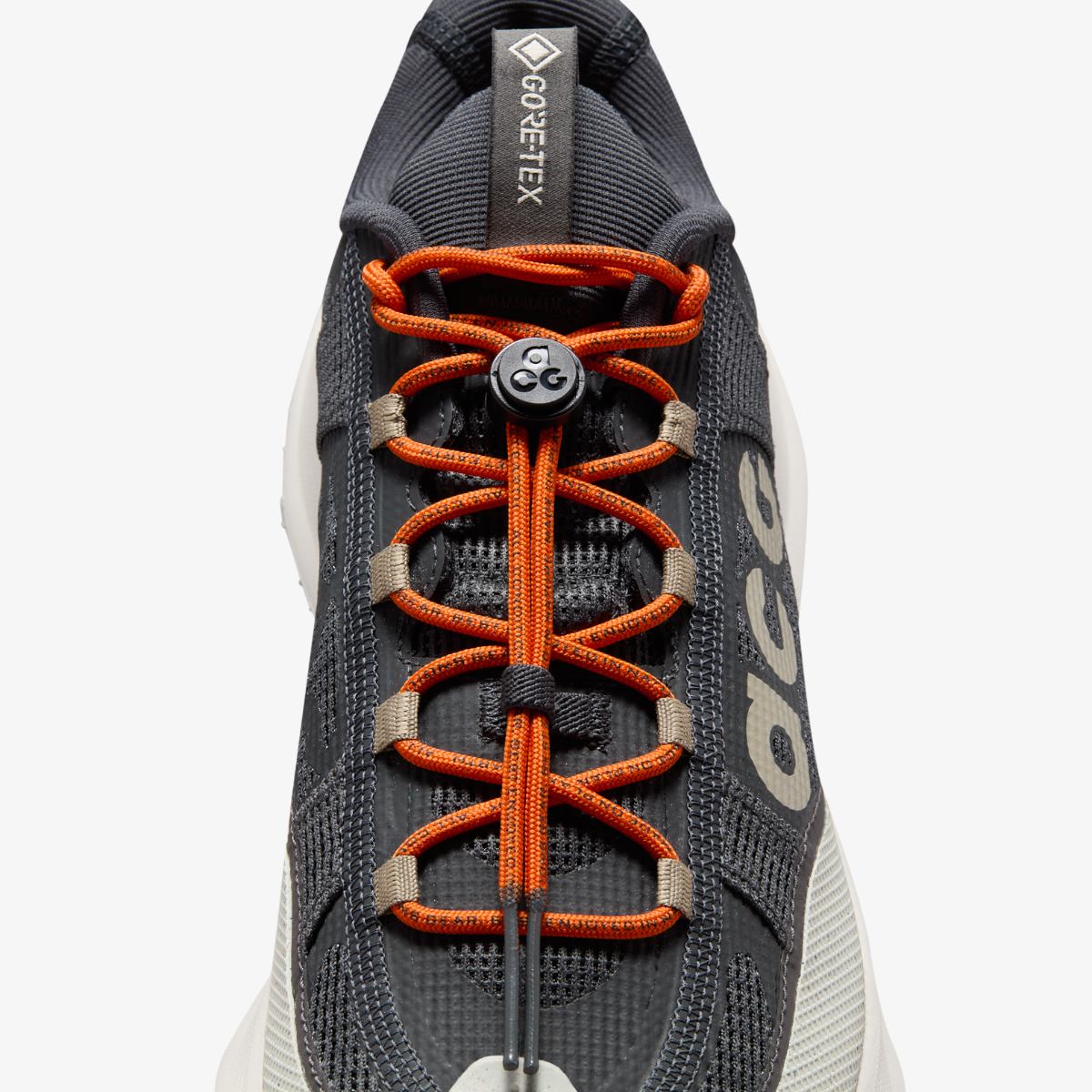 КРОСІВКИ NIKE ACG MOUNTAIN FLY 2 LOW GTX (HF6245-002)