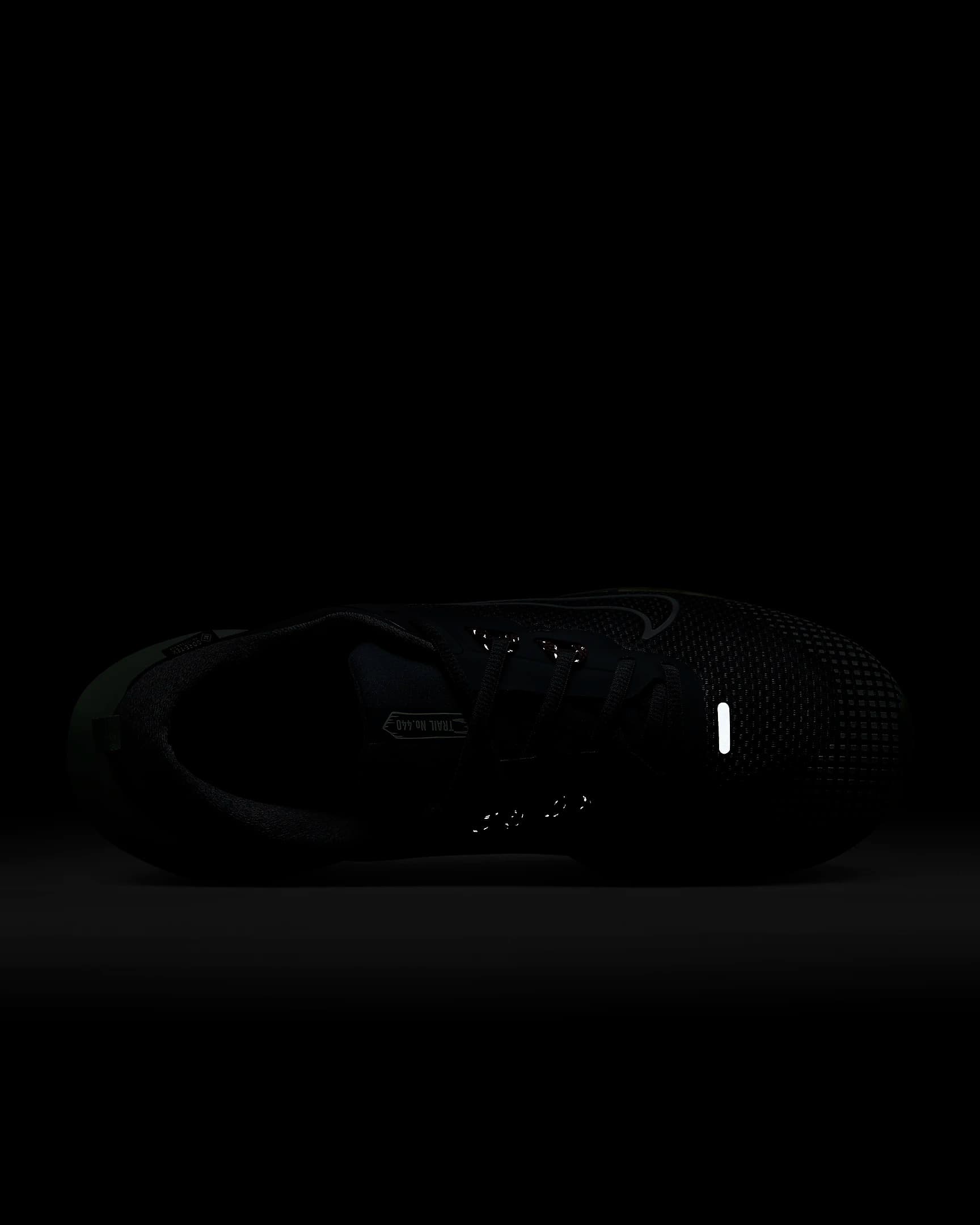 КРОССОВКИ NIKE JUNIPER TRAIL 2 GTX (FB2067-403)