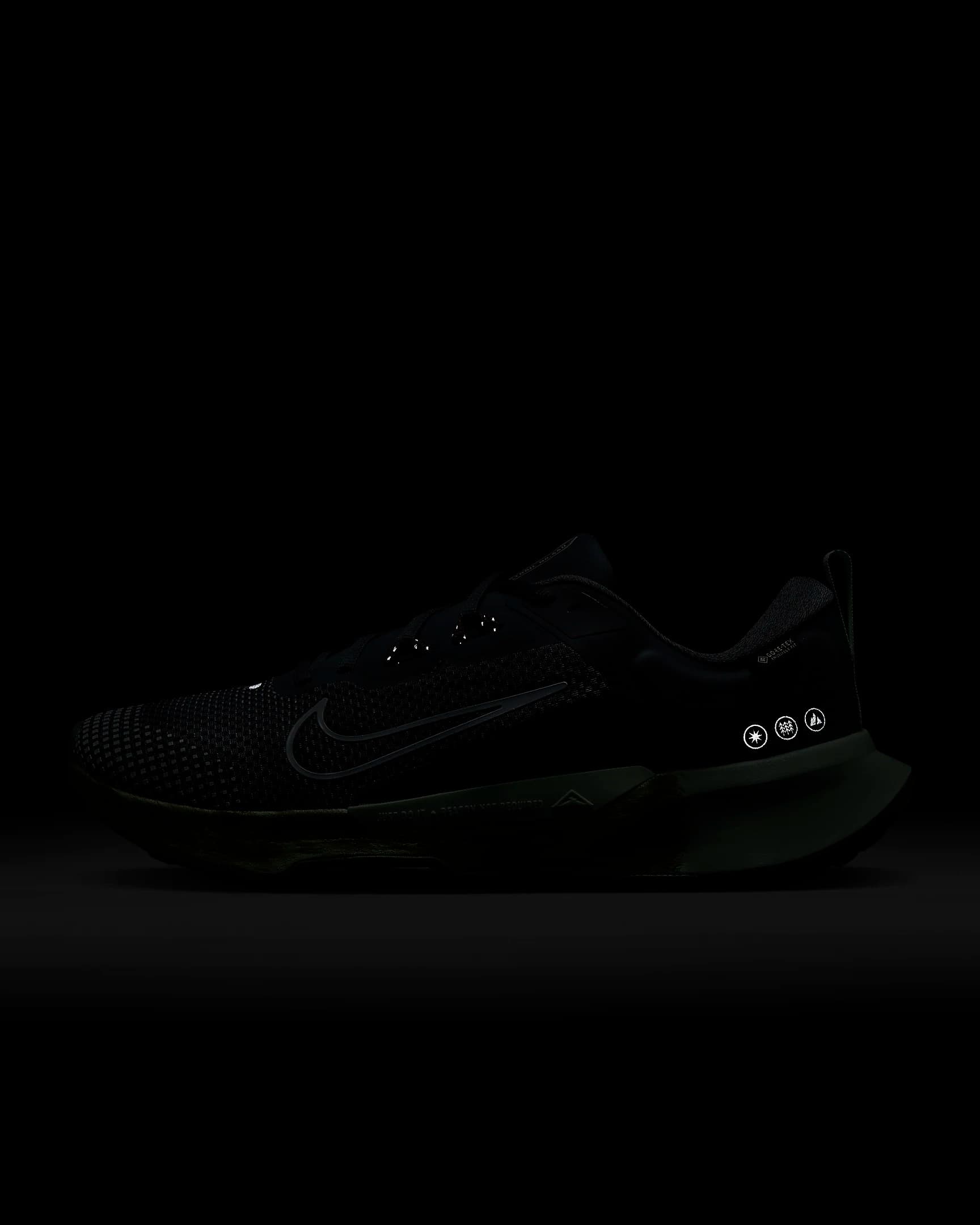 КРОССОВКИ NIKE JUNIPER TRAIL 2 GTX (FB2067-403)