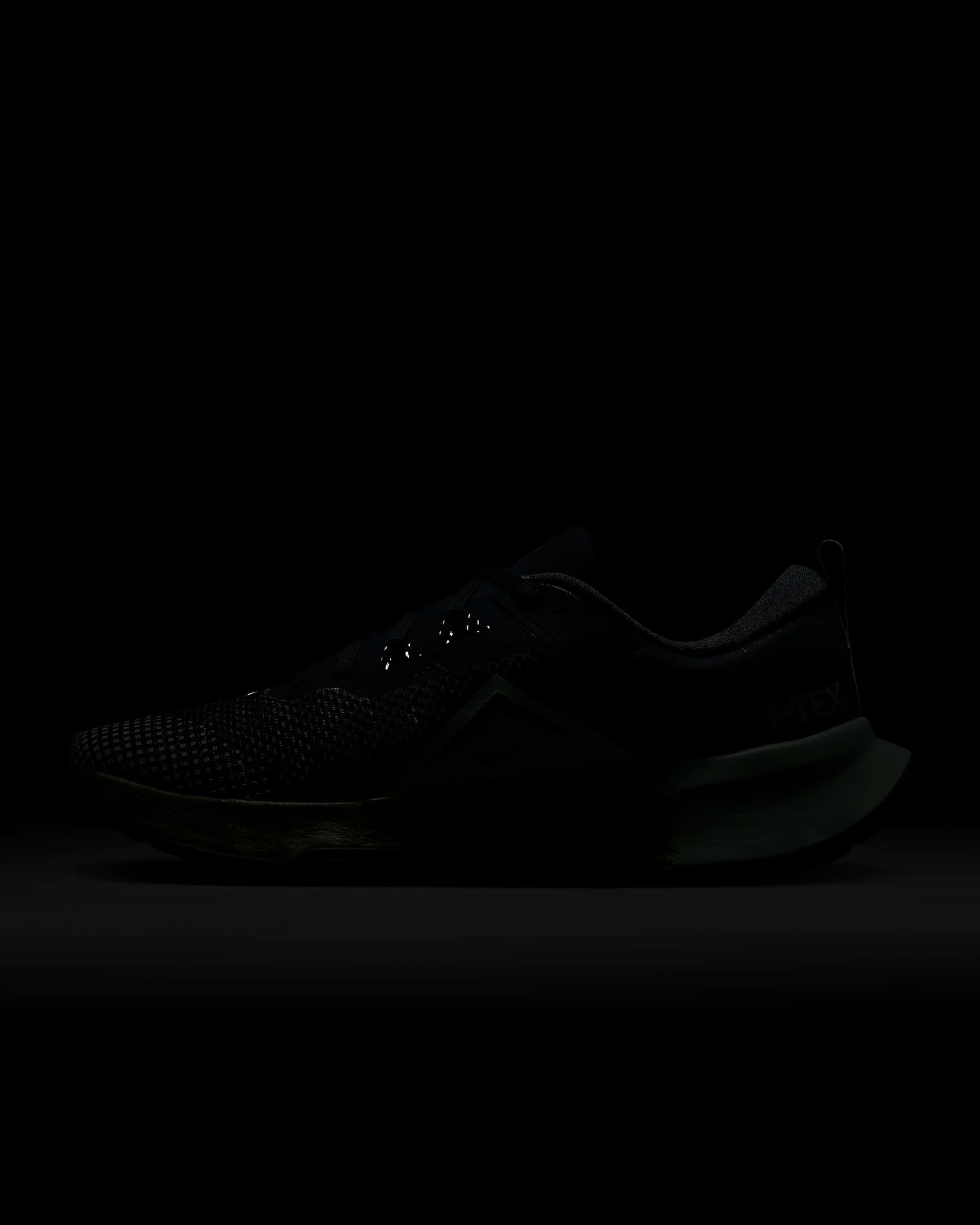 КРОССОВКИ NIKE JUNIPER TRAIL 2 GTX (FB2067-403)