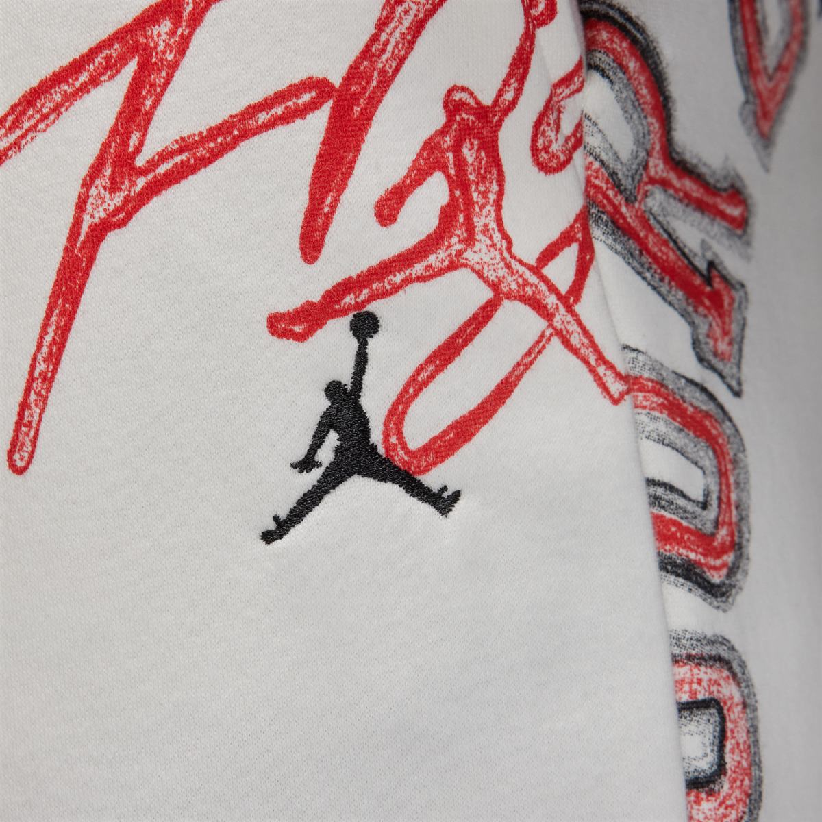 МУЖСКИЕ ШТАНЫ JORDAN FLIGHT ESS AOP FLC PANT (FN4547-133)